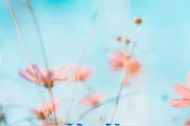 今日惊蛰！惊蛰奏响春耕序曲图片