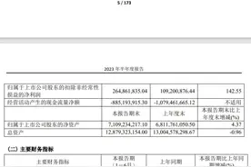 恒生电子上半年净利润4.46亿元 同比扭亏为盈图片