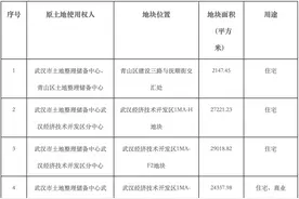 武汉挂牌16宗地块：9宗宅地起始价约24.6亿元图片