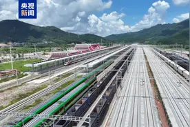 免签通关更便利 中老铁路签发首枚贴纸式临时入境许可图片