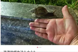 大量出现！网友：满地都是“毒王”……紧急提醒：不要碰、不能吃！图片