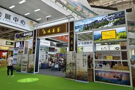 现场直击|百家争“茗”，永顺莓茶闪耀湖南茶博会图片