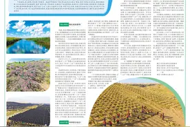 打好“三北”工程攻坚战   筑起绿色生态屏障——武威市建设全国荒漠化治理样板区系列报道之二图片