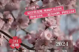 最全！2024北京朝阳赏花日历来啦图片