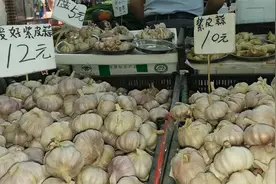 “姜你军”“蒜你狠”再现，新发地预判短期价格难以回落图片