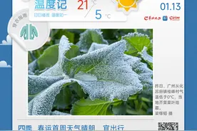 冻到结冰！新冷空气明日抵粤，日均气温将降3～5℃｜温度记图片