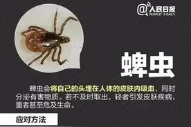 紧急提醒！攻击性很强！严重或致死！已入侵12省份！曾逼近秦岭图片