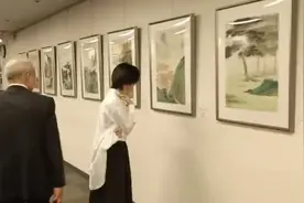 远山的呼唤：东京中国文化中心展陈翔、朱顺林山水画图片