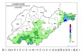 山东12市已迎降雨，中南部地区本周仍多阴雨天图片