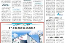 推进高质量发展 “县”在进行时 | 罗平：发挥优势做强做优生物资源经济图片