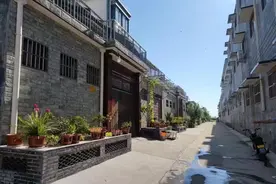 周口川汇区朱楼村：从贫困到振兴的华丽转身图片