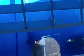 云南一水上乐园女更衣室被曝遭偷拍，景区：已加强保护措施，警方正侦办图片