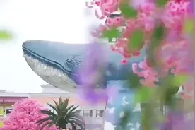 大揭秘，大梦想城乐园来啦！图片