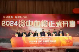 资中有“橙”意，4.8万吨血橙订单已被签约2024年资中血橙营销大会成功举行图片