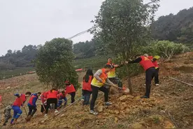 邻水：植绿明月山 共筑川渝情图片