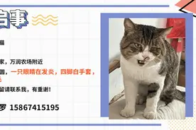 担心油枪不准？宁波这40家加油站靠谱！图片