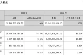 深圳华强2023年营收净利双降　电子商务板块待上市图片