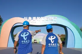 甜蜜与汗水——吐鲁番电信赋能“第三十届中国丝绸之路吐鲁番葡萄节”图片
