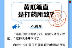 黄瓜笔直是因为打了药吗？图片