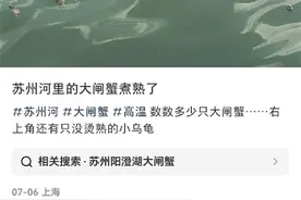 上海持续高温，苏州河的鱼蟹被“煮熟”了？水务部门回应图片