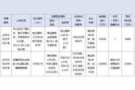 上新啦！长沙核心地段推出2宗优质地块图片