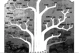 为什么万是w，千却不是q？图片