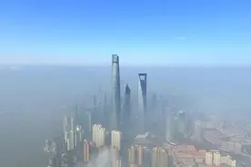 阿拉伯国家联盟秘书长访问上海图片