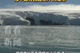 “末日冰川”正加速融化 全球海平面或将上升6厘米图片