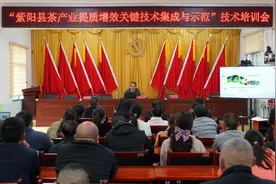 安康紫阳：中茶所专家送技下乡助春茶生产图片