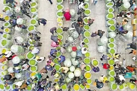 浙江正式进入春茶生产季 预计干茶总产量将首次突破10万吨图片