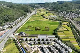 乡村振兴实绩考评，楚雄州“三连冠”！图片