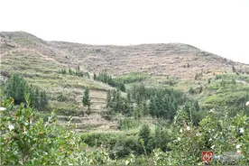 溆浦爱家村：玉竹种植撑起村民致富梦图片