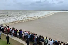 台风+天文大潮！海宁盐官万人追潮 最新消息：沿线景区下午关闭图片