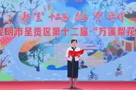 万溪十二载，从新再出发——呈贡区第十二届“万溪梨花节”正式启动图片