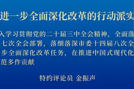 金振声：勇当进一步全面深化改革的行动派实干家图片