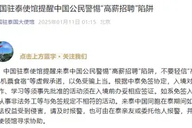中国驻泰使馆提醒中国公民警惕“高薪招聘”陷阱图片