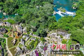 广西大新县峒那屿湾新春侬峒节玩出新花样图片