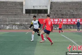 2025年陈璘民俗文化活动周在广东云浮举行图片