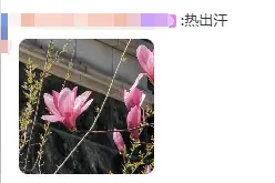 最新确认：直冲30℃！上海这波太刺激，即将大反转图片