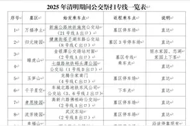 11条公交祭扫专线明起开通图片