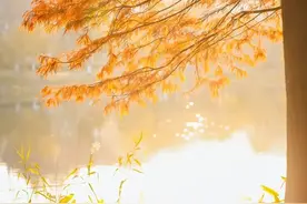 丹红、青绿、莫兰迪色系……一起来看色彩斑斓的闵行~图片