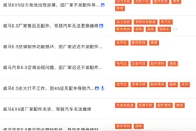 315调查｜零配件稀缺，车机变砖！新能源车企“猝死”售后谁来保障？专家呼吁预防性干预图片