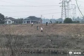 “挖挖挖！捣捣捣！”浙江很多人组团出动：太上头图片