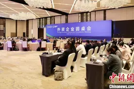 “投资安徽行”外资企业圆桌会频传合作佳音图片