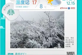 最低8℃！今晨或为广州今年下半年以来最冷早晨丨温度记图片