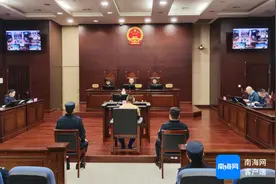 海南一男子毁林种槟榔致生态受损被追刑 法院适用“补植复绿+碳汇认购”替代性修复图片