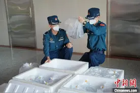 广东海警局上半年共查获涉走私案件47起 案值上亿元图片