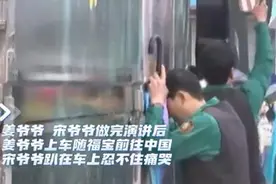 粉丝冒雨送别“福宝”哭成一片，韩饲养员“宋爷爷”贴车泪奔图片