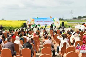 看！邛崃把课堂搬进了油菜花田图片