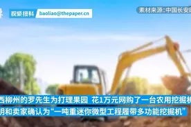 男子花万元网购挖掘机，收到的竟是玩具挖机，法院：构成欺诈，退一赔三！图片